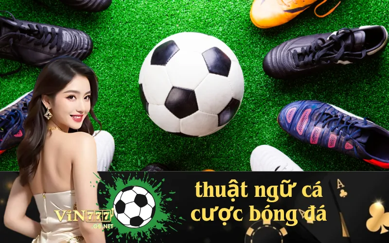 Giải thích thuật ngữ cá cược bóng đá thường gặp