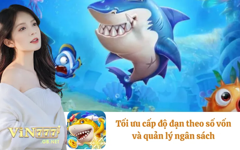 Tối ưu cấp độ đạn theo số vốn và quản lý ngân sách