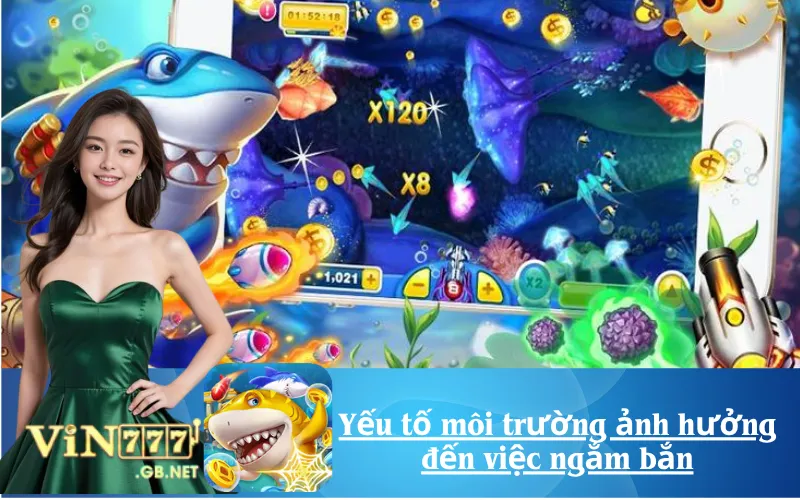 Yếu tố môi trường ảnh hưởng đến việc ngắm bắn